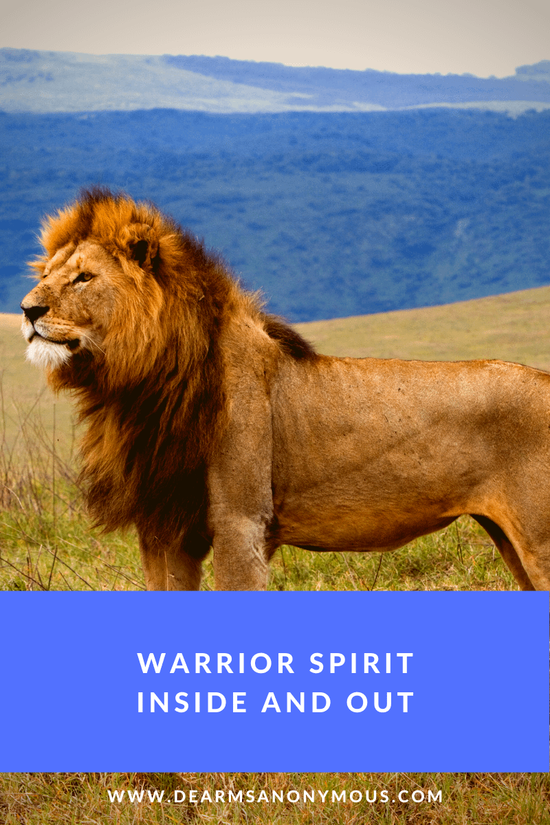 Having a warrior spirit means you are going to fight for your dreams, even on the hardest days